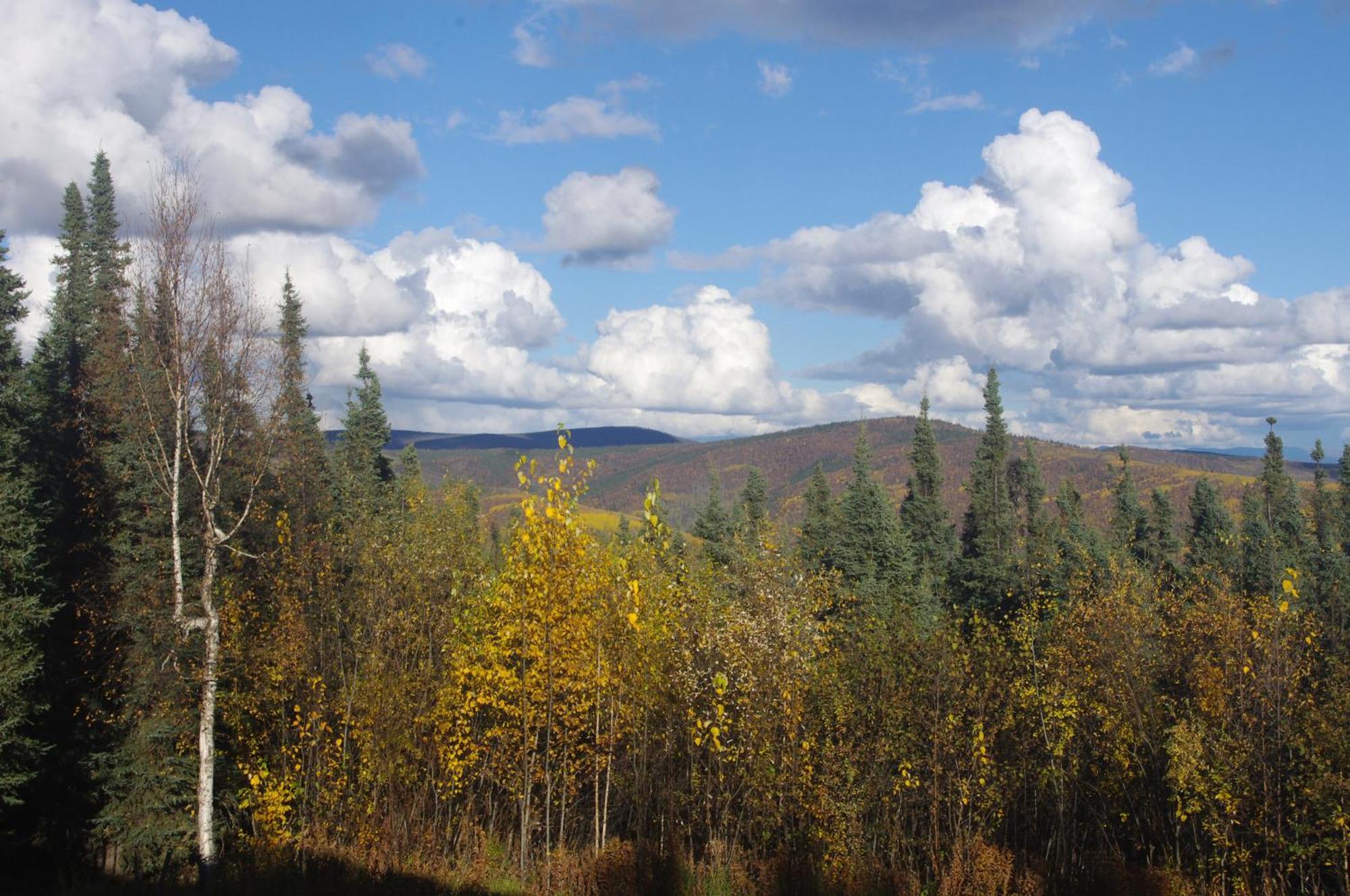 Ferienwohnung Aurora Viewing Deck And Peaceful Retreat Fairbanks Exterior foto